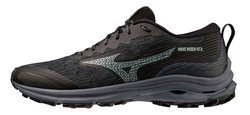 Кроссовки для бега Mizuno Wave Rider GoreTex (Women) J1GD2279-21-S