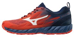 Кроссовки для бега Mizuno Wave Ibuki J1GJ1873-01
