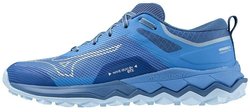 Кроссовки для бега Mizuno Wave Ibuki 4 GoreTex (Women) J1GK2259-82