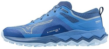 Кроссовки для бега Mizuno Wave Ibuki 4 GoreTex (Women) J1GK2259-82