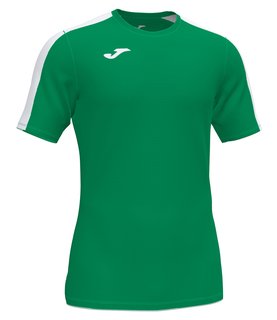 Игровая футболка Joma Academy III 101656.452
