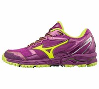 Кроссовки для бега MIZUNO WAVE DAICHI 3 (W) J1GK1871-44