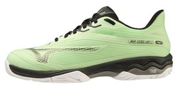 Кроссовки для тенниса MIZUNO Wave Exceed Light 2 AC 61GA2318-39