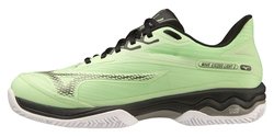 Кроссовки для тенниса MIZUNO Wave Exceed Light 2 CC (Clay Court) 61GC2320-39