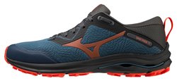Кроссовки для бега MIZUNO Wave Rider TT J1GC2132-01