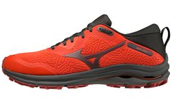 Кроссовки MIZUNO Wave Rider TT J1GC2132-15