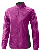 Ветировка Mizuno BREATH THERMO JACKET (Women) J2GE4702-66