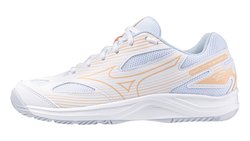 Волейбольные кроссовки Mizuno Cyclone Speed 4 (Women) V1GC2380-00
