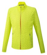 Мужская ветровка для бега Mizuno Reflect Wind Jacket J2GE0510-44