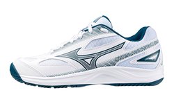 Детские-подростковые кроссовки Mizuno Stealth Star 2 (Junior) X1GC2307-21