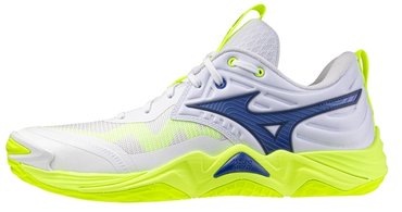 Волейбольные кроссовки Mizuno Wave Momentum Elite V1GA2512-39