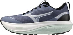 Кроссовки для бега Mizuno Wave Rider GoreTex 4 J1GW2630-71