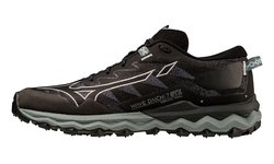 Кроссовки для бега Mizuno Wave Daichi 7 GoreTex (Women) J1GK2256-71-S