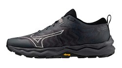 Кроссовки для бега Mizuno Wave Daichi 8 GoreTex (Women) J1GK2456-21