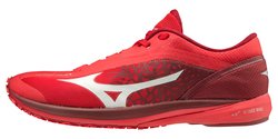 Марафонки Mizuno Wave Duel U1GD1960-56