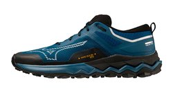 Кроссовки для бега Mizuno Wave Ibuki 4 GTX J1GJ2259-51-S
