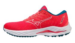 Кроссовки для бега Mizuno Wave Inspire 19 (Women) J1GD2344-27