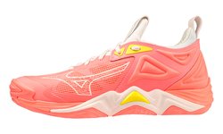 Волейбольные кроссовки Mizuno Wave Momentum 3 (Women) V1GC2312-06