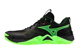 Волейбольные кроссовки Mizuno Wave Momentum Elite V1GA2512-49