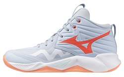Волейбольные кроссовки Mizuno Wave Momentum Pro Mid (Women) V1GC2545-84