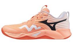 Волейбольные кроссовки Mizuno Wave Momentum Pro V1GA2540-80