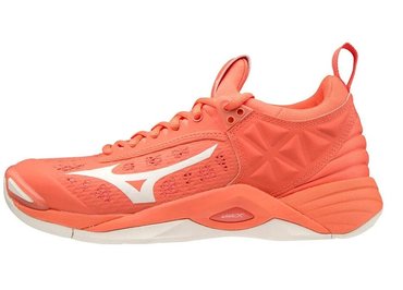 Волейбольные кроссовки Mizuno Wave Momentum (Women) V1GC1912-59