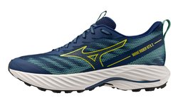 Кроссовки для бега MIZUNO WAVE RIDER G-TX 2 J1GC2479-02