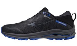 Кроссовки для бега Mizuno Wave Rider GoreTex J1GC2179-13