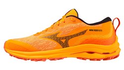 Кроссовки для бега Mizuno Wave Rider GoreTex J1GC2279-02-S