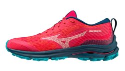 Кроссовки для бега Mizuno Wave Rider GoreTex (Women) J1GD2279-22