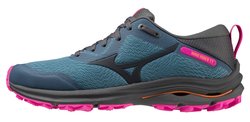 Кроссовки для бега Mizuno Wave Rider TT (Women) J1GD2132-21