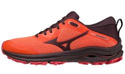 Кроссовки для бега Mizuno Wave Rider TT (Women) J1GD2132-47