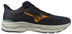 Кроссовки для бега Mizuno Wave Serene 2 Gtx J1GC2560-02