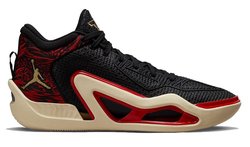 Кроссовки NIKE JORDAN TATUM 1 "ZOO" DX5572-001
