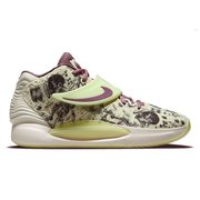 Кроссовки NIKE KD 14 CW3935-300
