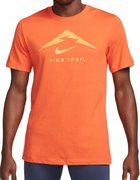 Мужская футболка NIKE M NK DF TEE TRAIL LOGO FQ3914-809