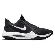 Баскетбольные кроссовки NIKE PRECISION 5 CW3403-003