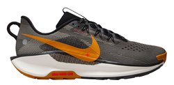 Кроссовки для бега Nike React Pegasus Trail 5 DV3864 009