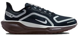 Кроссовки для бега Nike AIR ZOOM PEGASUS 41 GTX (W) FQ1357-401