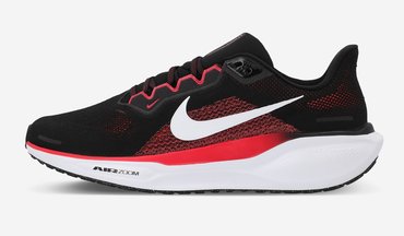 Кроссовки для бега Nike Pegasus 41 FD2722 003