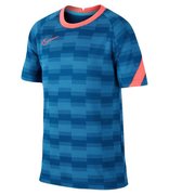 Футболка Nike Dri Fit Academy Pro CD1072-446