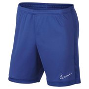 Шорты Nike Dry Academy Short AJ9994-480