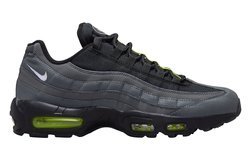 Кроссовки Nike M Air Max 95 DZ4496-001