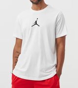 Футболка Nike M J JUMPMAN DF SS CREW CW5190-102
