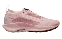 Женские кроссовки для бега Nike PEGASUS TRAIL 5 Gore-Tex (Women) FQ0912-601