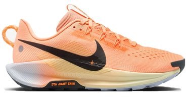 Кроссовки для бега Nike PEGASUS TRAIL 5 (W) DV3865-800