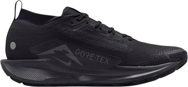 Мужские кроссовки для бега Nike PEGASUS TRAIL 5 Gore-Tex FQ0908-002