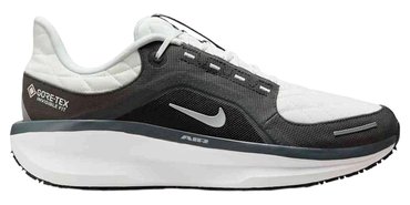 Кроссовки для бега Nike Winflo 11 GoreTex FQ1358-004