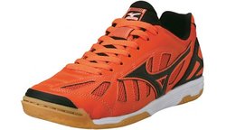 Футзальные бутсы Mizuno SALA PREMIUM IN Q1GA1450-09