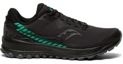 Кроссовки для бега SAUCONY PEREGRINE ICE+ (Women) S10675-1